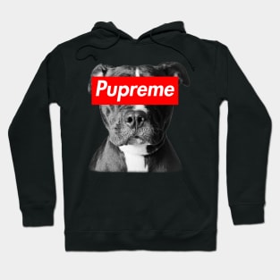 Pupreme Terrier Hoodie